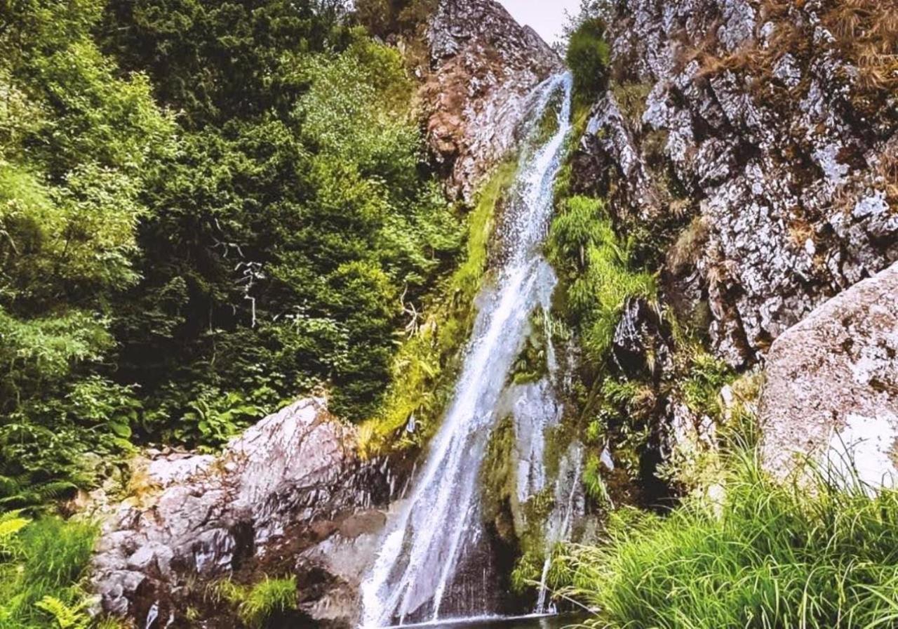 Vale Do Zezere Hotel Мантейгас Экстерьер фото